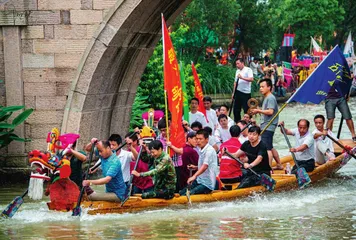 天堂绿肺 西溪湿地6