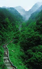 五岳至尊话泰山2