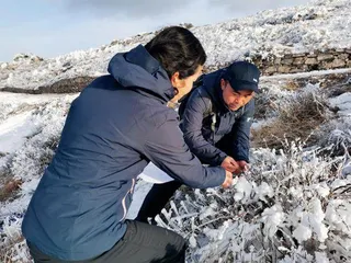 牛背梁背后的生态卫士1