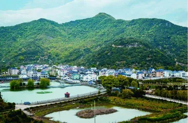 墩岙村——“红色根脉”强引领，美丽乡村展新姿