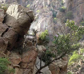大美贺兰山6