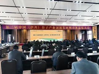 栽下梧桐树 引得凤凰来1