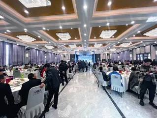 栽下梧桐树 引得凤凰来2