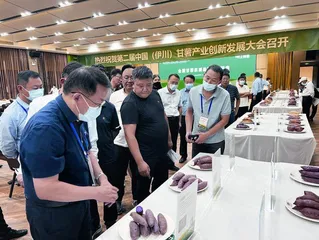 栽下梧桐树 引得凤凰来4