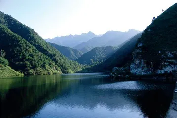 小秦岭保护区：立下愚公志 唤得春风回