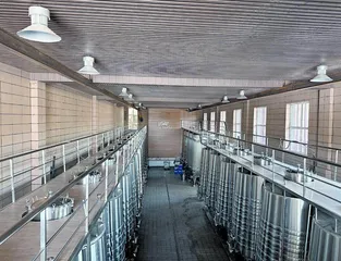 览翠：酿造高品质葡萄酒1