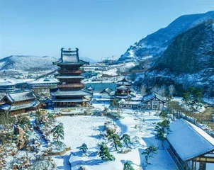 园博园雪景