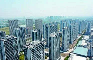 “红色根脉”强基础 萧山宁围抓好共富“最小单元”