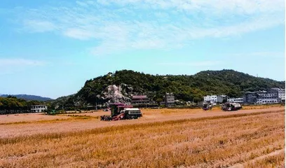 浙江台州：农业社会化服务助力农业增效