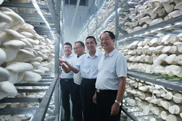河南世纪香：用心推进食用菌产业高质量发展