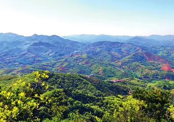 乡村振兴 洛宁“样板”3
