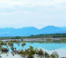 乡村振兴 洛宁“样板”5