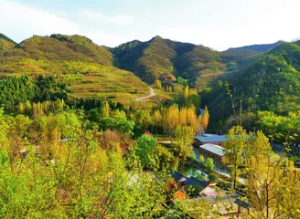 对九峪村的金银山