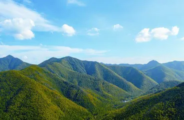 长荡湖湿地公园漫记2