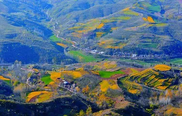 保障涉农资金 助力乡村振兴