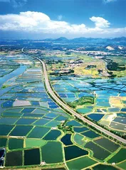 中国“幸福宜居之城”——阳江8