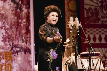 刘兰芳：方寸舞台 评说千年春秋2
