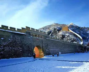 橘乡集团：做好橘红产品 推进高质量发展4