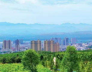 洛阳：振兴乡村怎么干