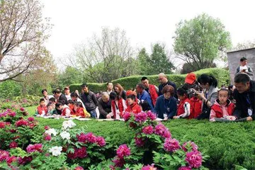 洛阳：振兴乡村怎么干2