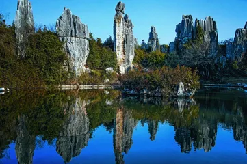 云南“三林”奇观3