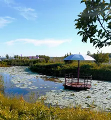 美丽黑土地 魅力双鸭山3