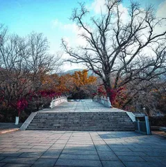 东海胜境花果山5