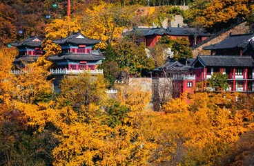 东海胜境花果山6