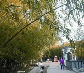绿竹之乡 生态洛宁