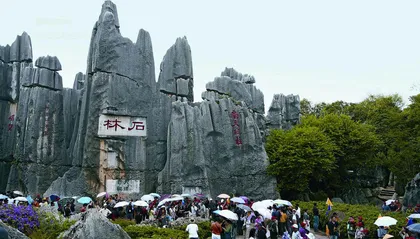 云南“三林”奇观7