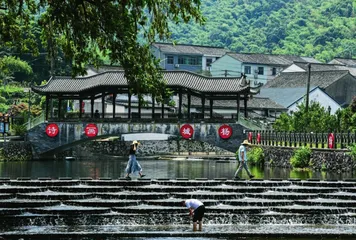 确保同向发力、形成合力5