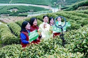 杭州富阳：架起助力青年发展的桥梁