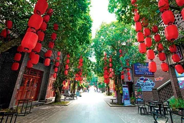 “中国南极”话湛江8