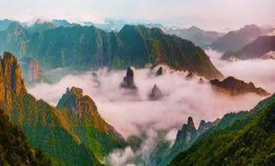 乐清市龙西乡：“雁北栽草、龙西开花”