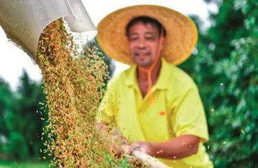 十组数据见证新时代伟大成就5