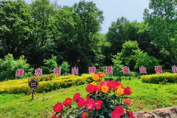 绿色矿山披“花衣”2