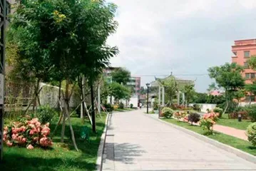 油甘埔村：以实际行动践行初心使命1