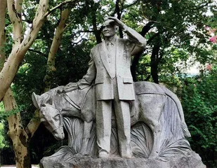 百卅武大:大学与国家的自强之路9