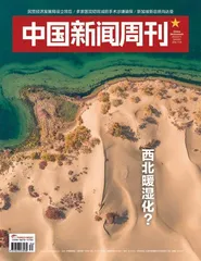 暖湿化下的西北:从锁沙漠的边到锁绿洲的边1