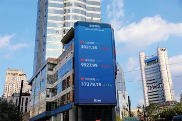 刘纪鹏:股市跌跌不休,一股独大是本质1