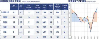 深挖海湾“数据新石油”:一场双向奔赴2