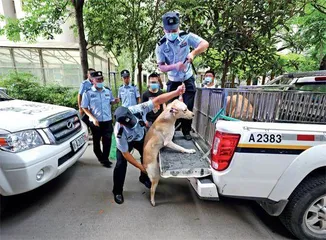 犬伤人,为何一再发生?5