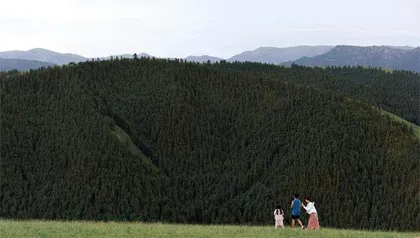 西北暖湿化:荒漠不能变江南7