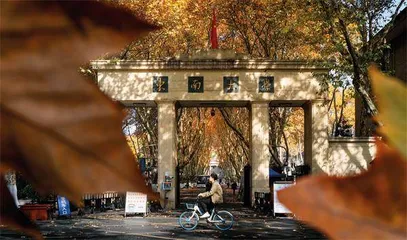 东南大学：从工科强校到综合性大学的突围5
