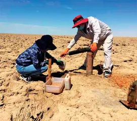 不仅要保护耕地数量,更要保护耕地质量1