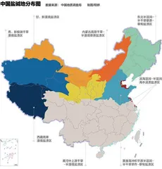 不仅要保护耕地数量,更要保护耕地质量2