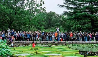 国家植物园究竟该怎么建？
