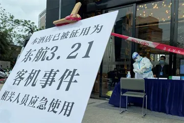 东航梧州空难:“极其罕见的情况”4