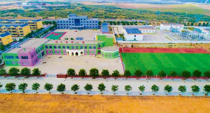 四卜树，美丽乡村的“标杆树”