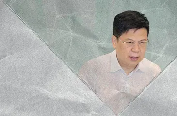 中国人寿原董事长王滨被捕